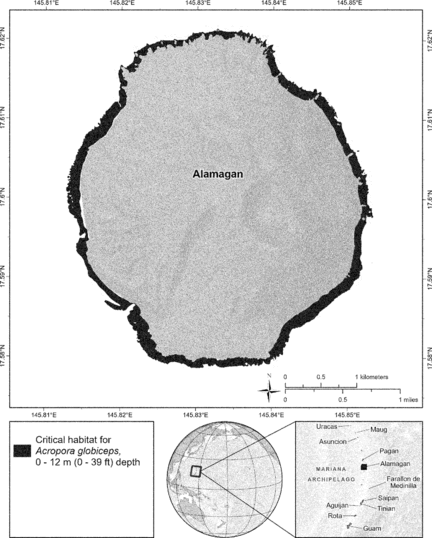 Publisher figure