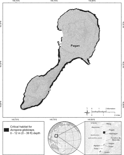 Publisher figure